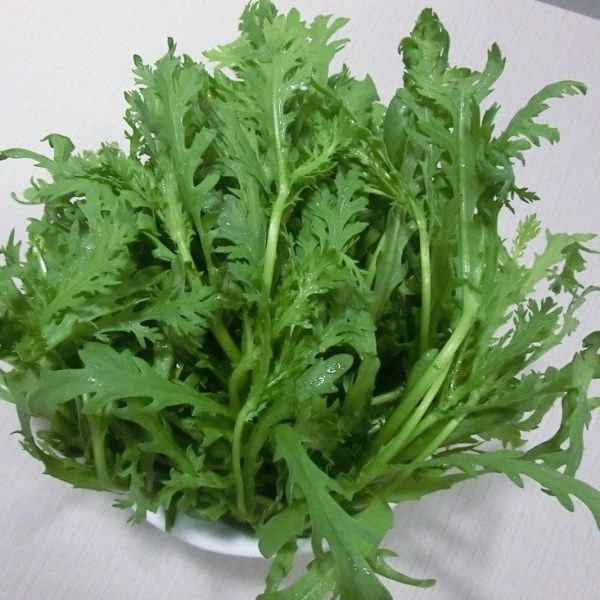 骑龙火锅