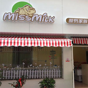 酸奶家族