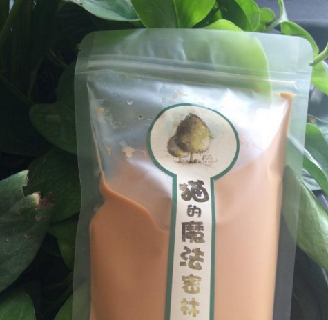 猫的魔法密林
