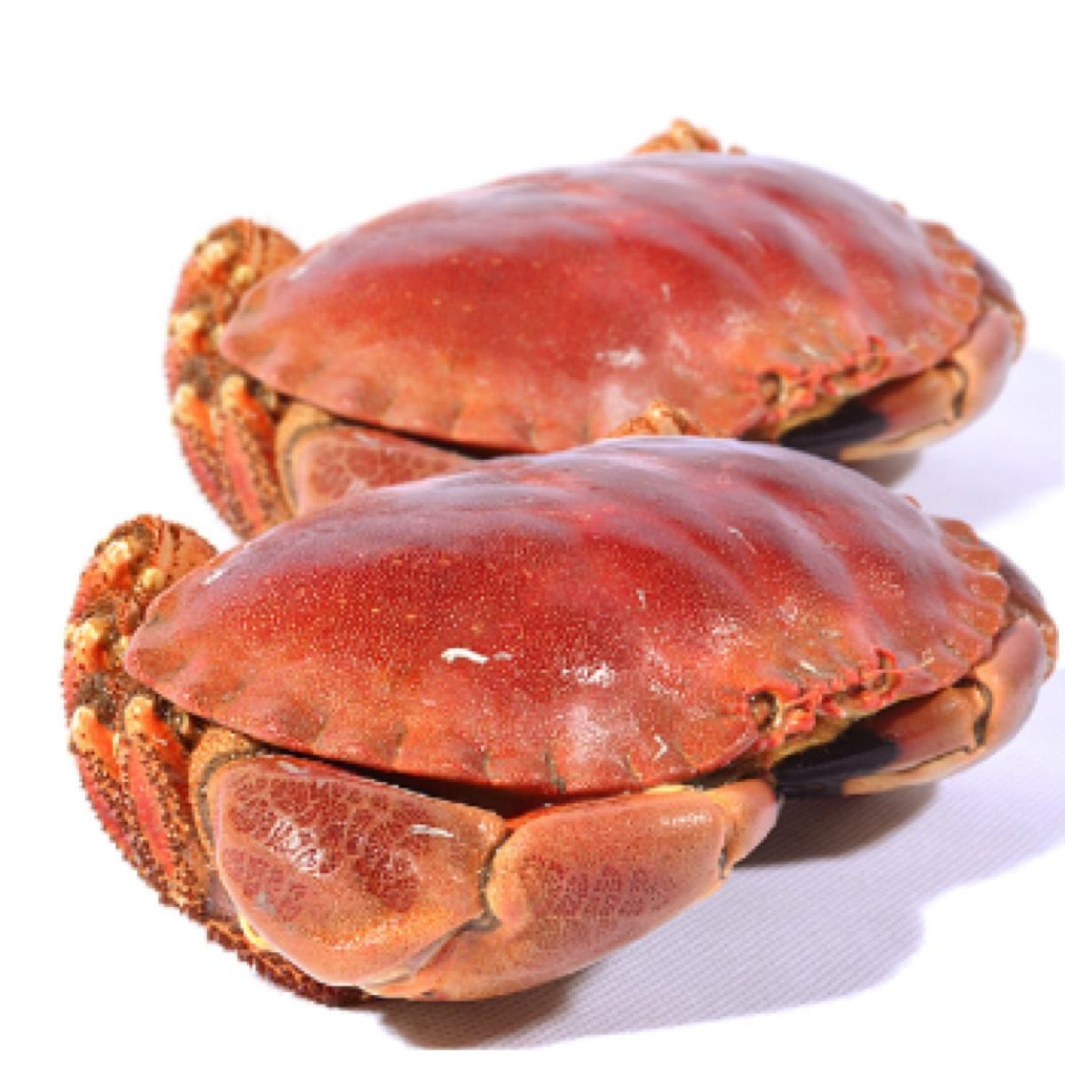 蟹叫叫阳澄湖大闸蟹