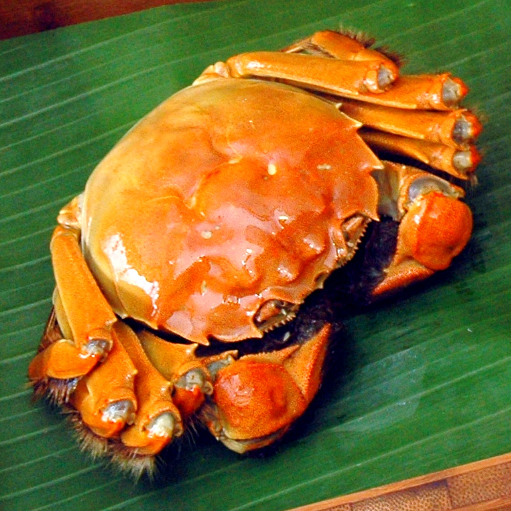 蟹叫叫阳澄湖大闸蟹