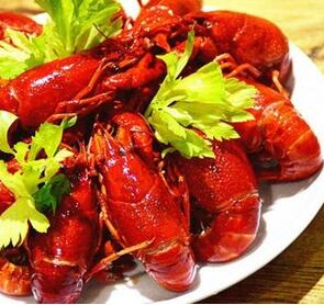 刘一龙虾