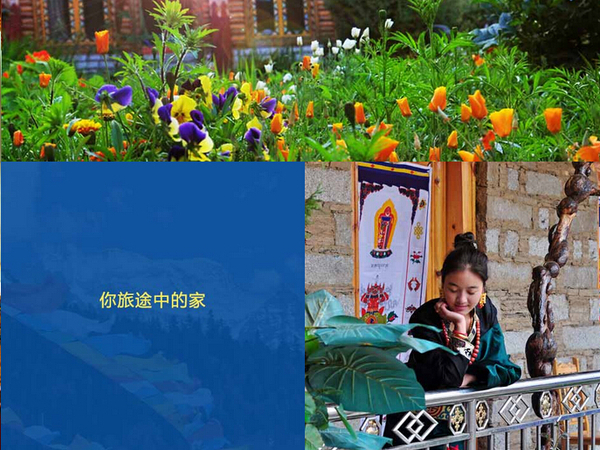 铂涛·, 