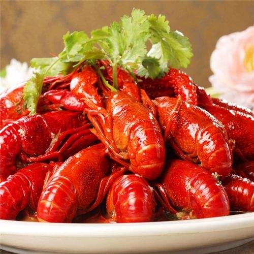 邵伯龙虾