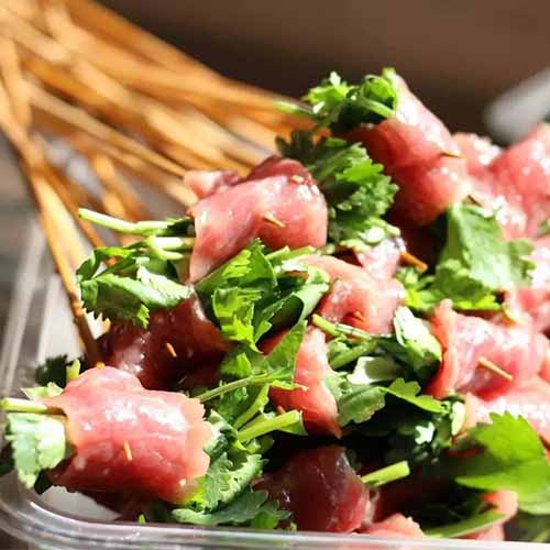 蜀锦香厕所串串