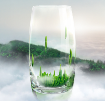 竹叶青茶业
