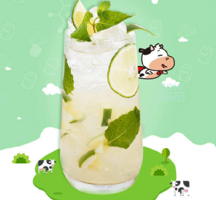 酸奶与牛