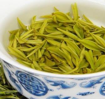 绿雪芽白茶