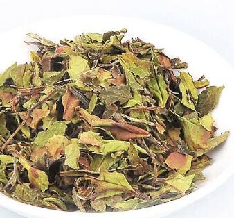 绿雪芽白茶