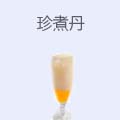 珍煮丹