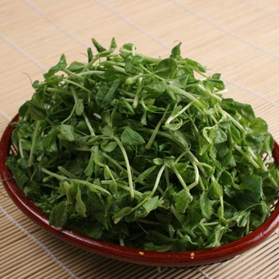, 芽苗菜