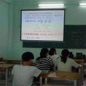 朴新教育