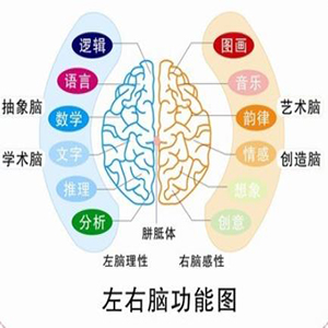 七田右脑教育