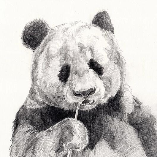 创典空间美术培训