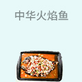 中华火焰鱼