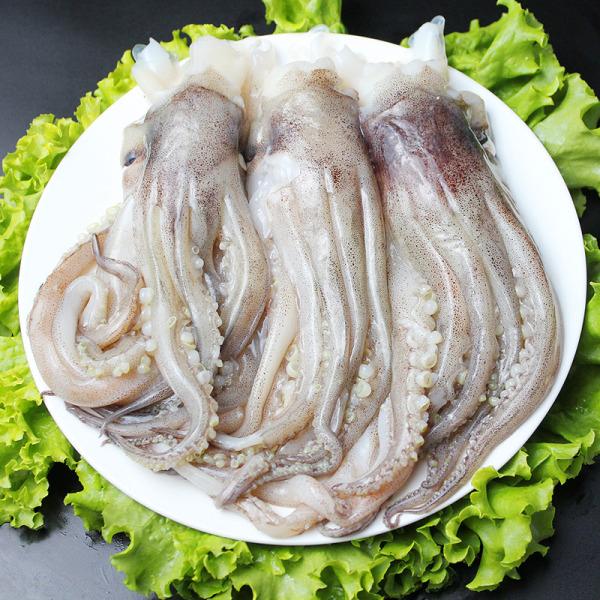 领道者