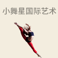 小舞星国际艺术中心