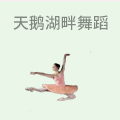 天鹅湖畔少儿舞蹈培训